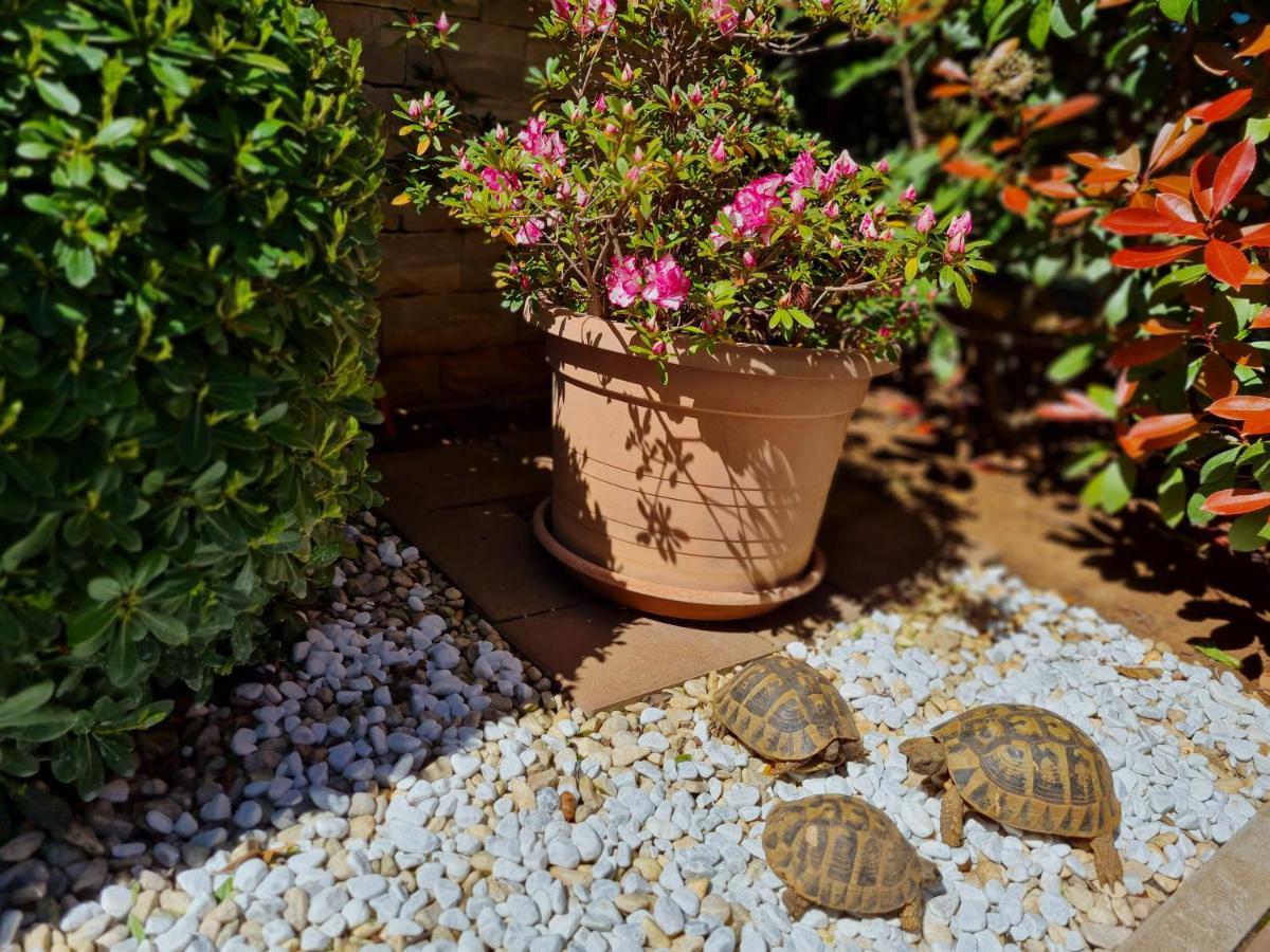 Holiday Home Drago ザダル エクステリア 写真